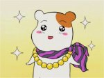 Oruchuban Ebichu