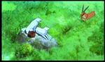 Princesse Mononoke