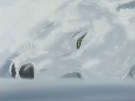 Wolf's Rain
