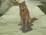Wolf's Rain
